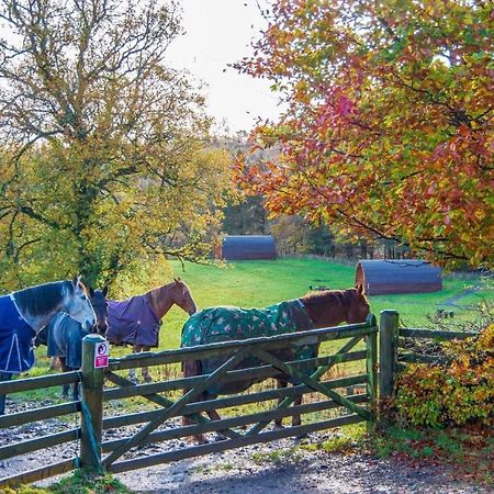 Luxury Rural Ayrshire Glamping Pod Hotell Dalmellington Eksteriør bilde